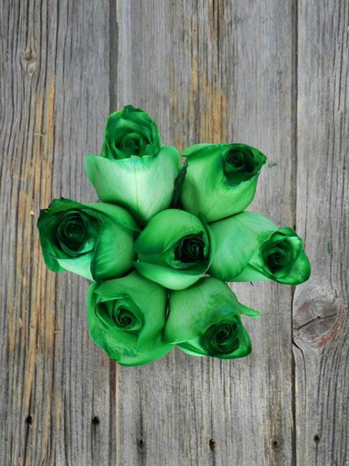  GREEN TINTED ROSE